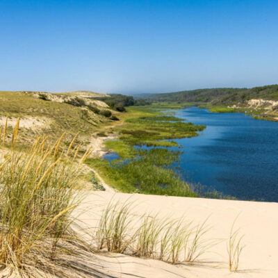 Reserva Natural de Courant D'huchet