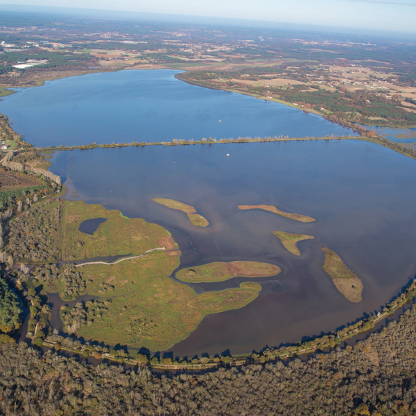 Vue aérienne Marais d'Orx